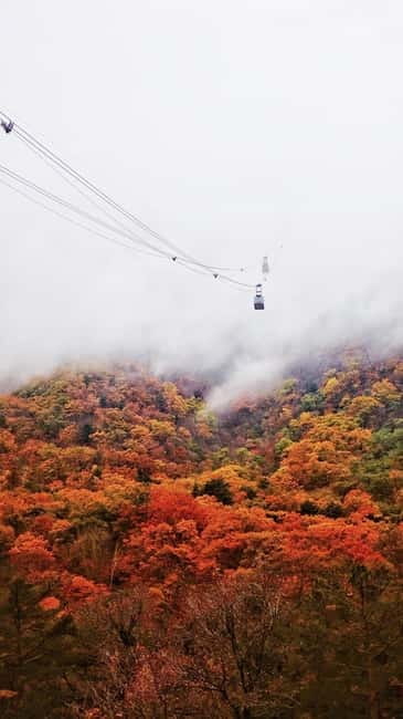 Seoul: Mt. Seoraksan National Park Autumn Foliage Day Tour - Is $60 good value for this day trip?