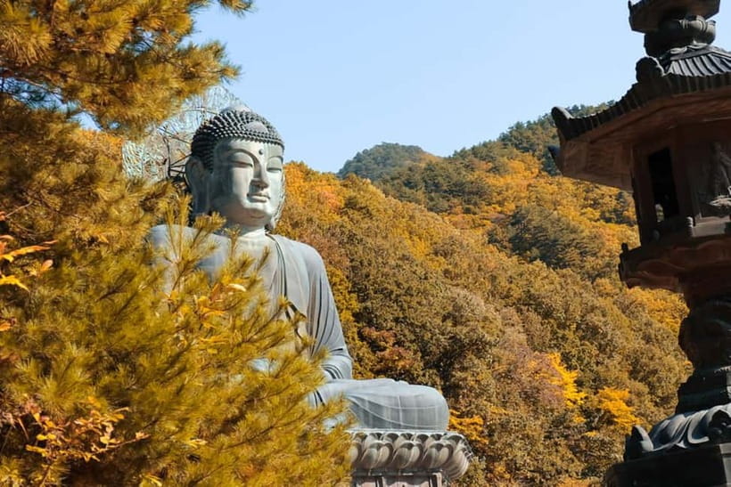 Seoul: Mt. Seoraksan National Park Autumn Foliage Day Tour - Why Seoraksan makes a good escape from Seoul