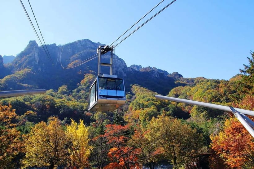 Seoul: Mt. Seoraksan National Park Autumn Foliage Day Tour - The cable car question