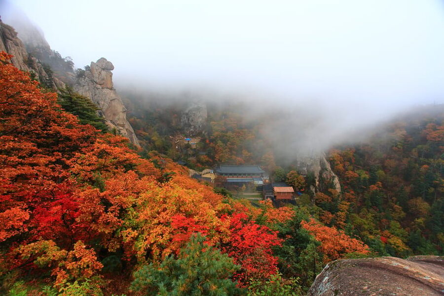 Seoul: Mt. Seoraksan National Park Autumn Foliage Day Tour - What five free hours really give you
