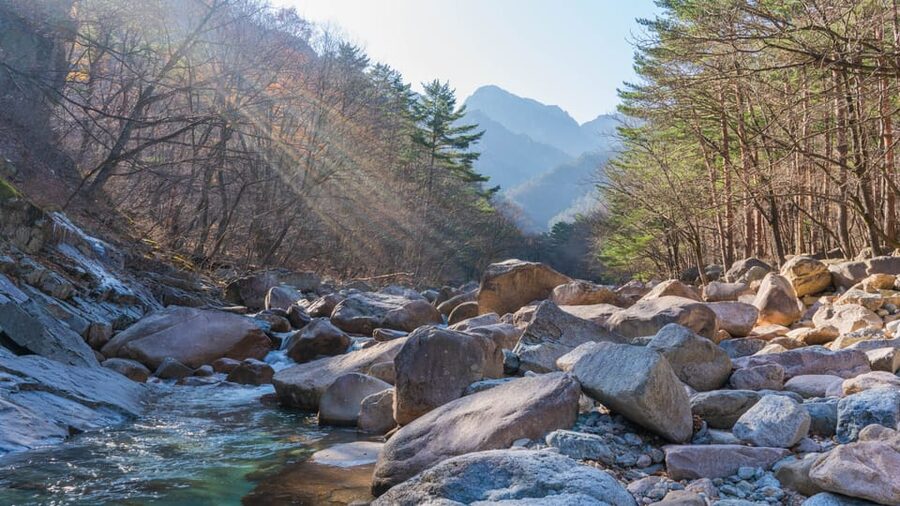 Seoul: Mt. Seoraksan National Park Autumn Foliage Day Tour - Autumn color, photographs, and mountain weather