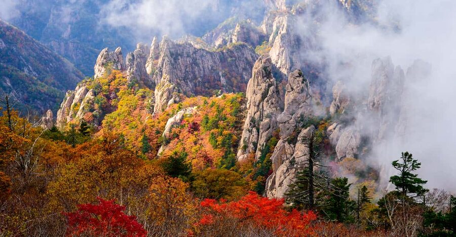 Seoul: Mt. Seoraksan National Park Autumn Foliage Day Tour - The early road from Seoul to Gangwon Province