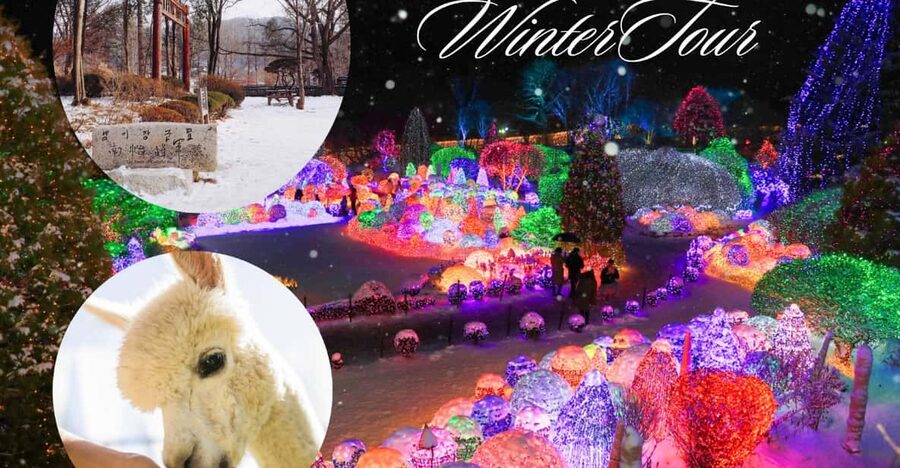 Seoul: Nami and K-Garden with Optional Alpaca Winter Tour - Key points to know before you book