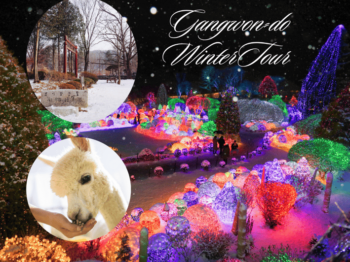 Seoul: Nami and K-Garden with Optional Alpaca Winter Tour - Choosing between Alpaca World and the French village