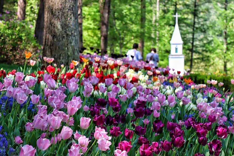 Seoul: Nami and Petite France Tour with Optional K-Garden - Pinocchio and Da Vinci Italian Village