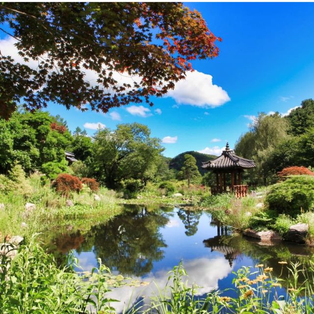 Seoul: Nami and Petite France Tour with Optional K-Garden - The Garden of Morning Calm option