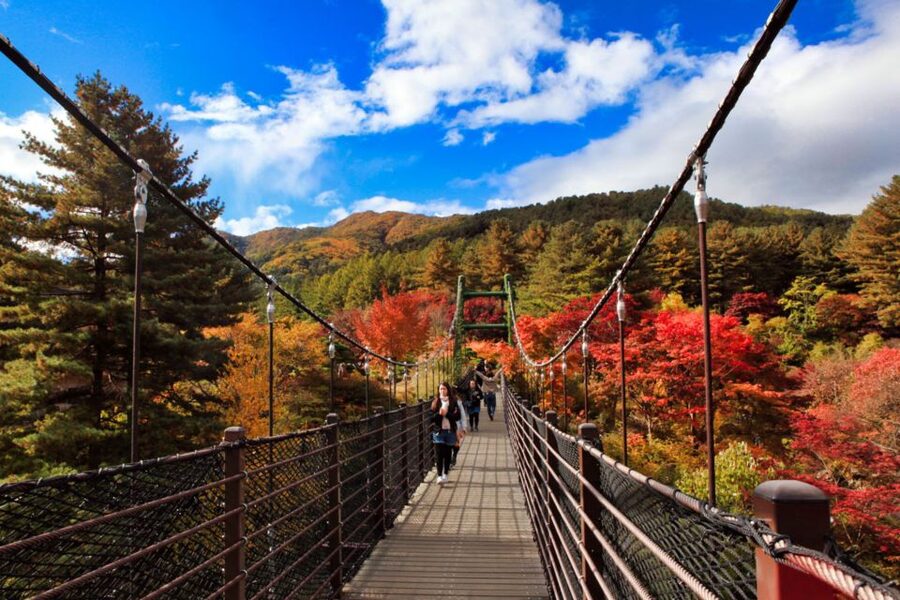 Seoul: Nami and Petite France Tour with Optional K-Garden - Guide quality and group language