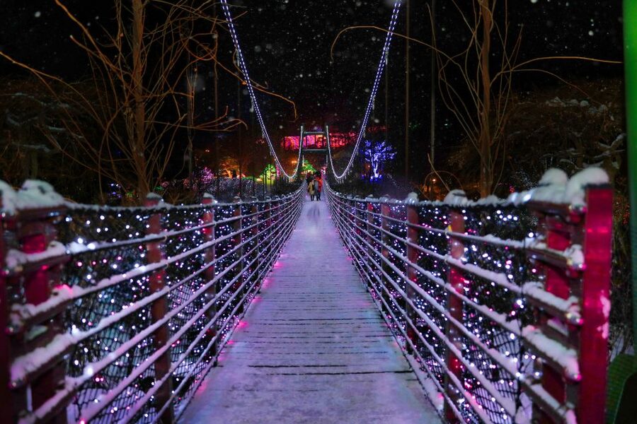 Seoul: Nami and Petite France Tour with Optional K-Garden - Is $50 good value?