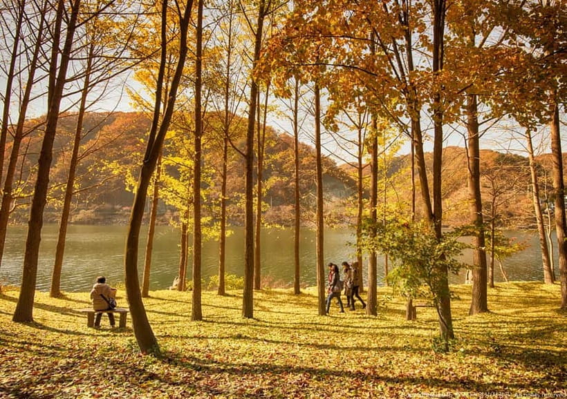 Seoul: Nami+Hanbok+Waterfall(+RailBike or Strawberry)Tour - Key points at a glance