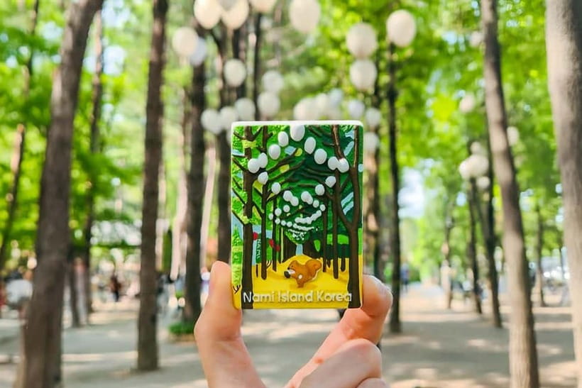 Seoul: Nami+Hanbok+Waterfall(+RailBike or Strawberry)Tour - What this Gyeonggi day trip is really offering