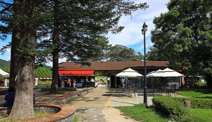 Seoul: Nami+Hanbok+Waterfall(+RailBike or Strawberry)Tour - Nami Island, the main scenic stop