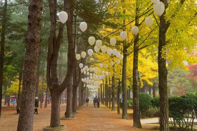 Seoul: Nami+Hanbok+Waterfall(+RailBike or Strawberry)Tour - Starting in Seoul and choosing your first stop