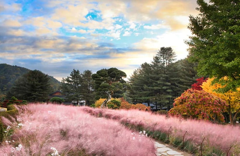 Seoul: Nami Island and Garden of Morning Calm opt Railbike - Gangchon Railbike, the fun part of the optional upgrade