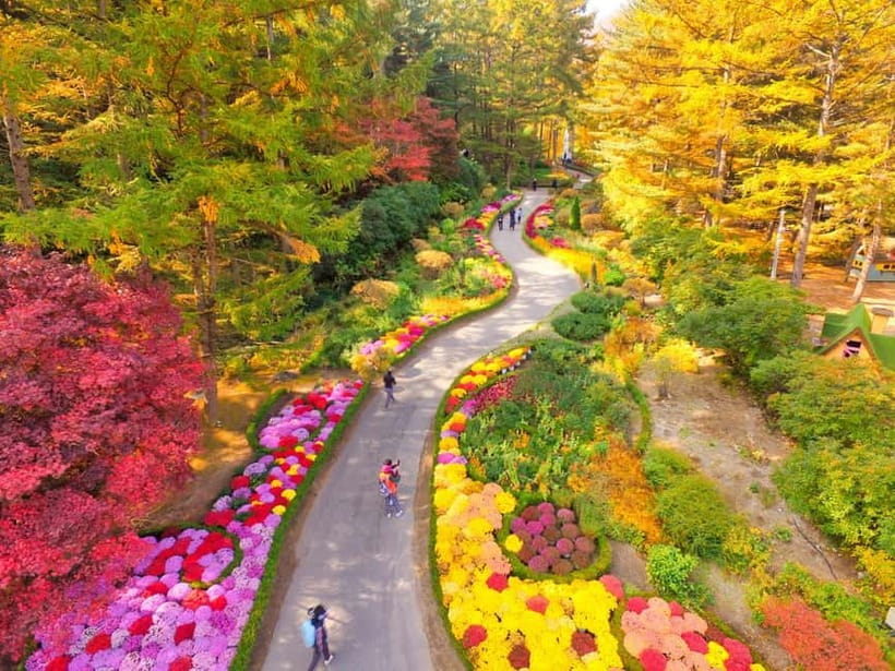 Seoul: Nami Island and Garden of Morning Calm opt Railbike - The best seasons for this particular route