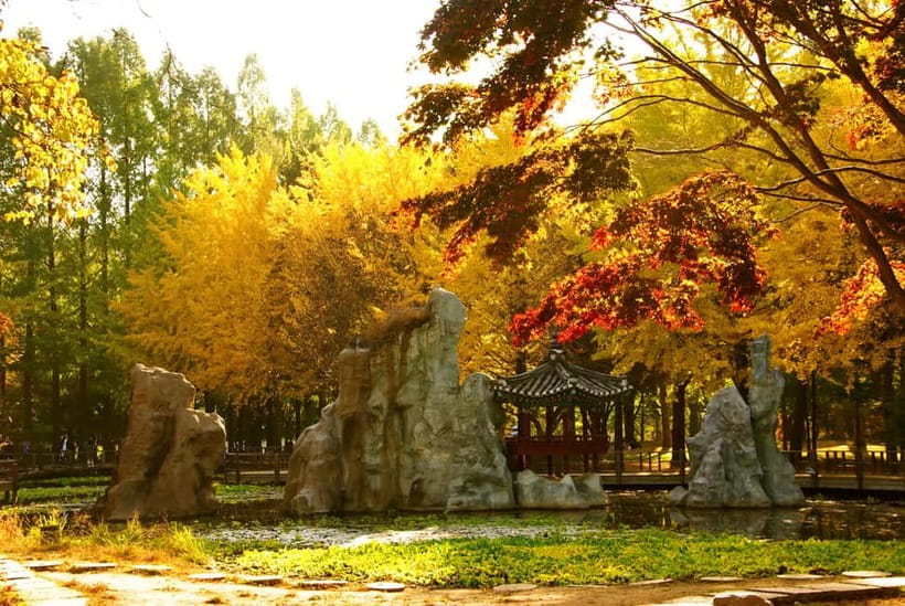 Seoul: Nami Island and Garden of Morning Calm opt Railbike - Who should book this tour?
