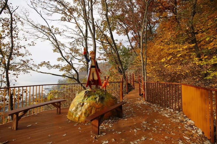 Seoul: Nami Island, Garden and Petite France (opt. Railbike) - Practical ways to make the day better