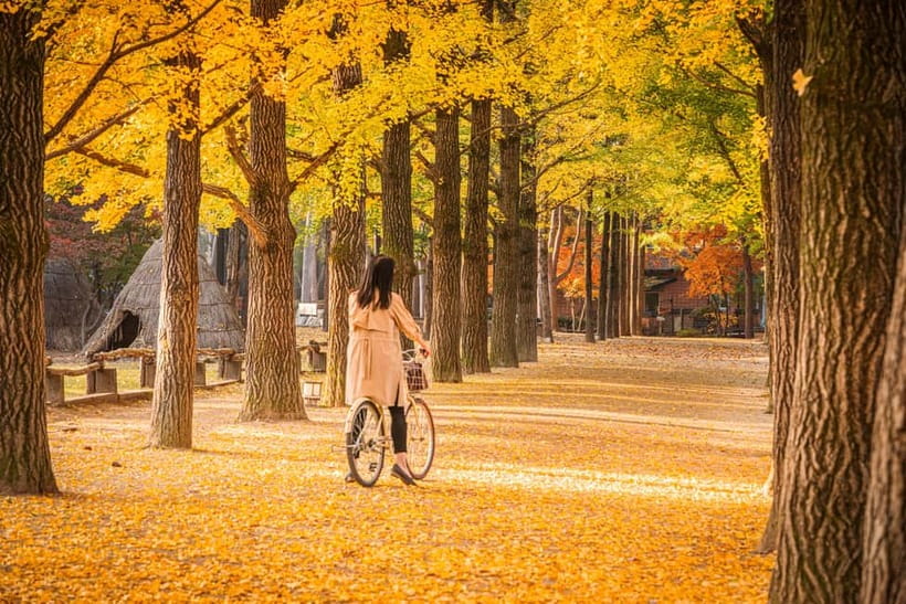 Seoul: Nami Island, Garden and Petite France (opt. Railbike) - Adding the Gangchon Railbike ride