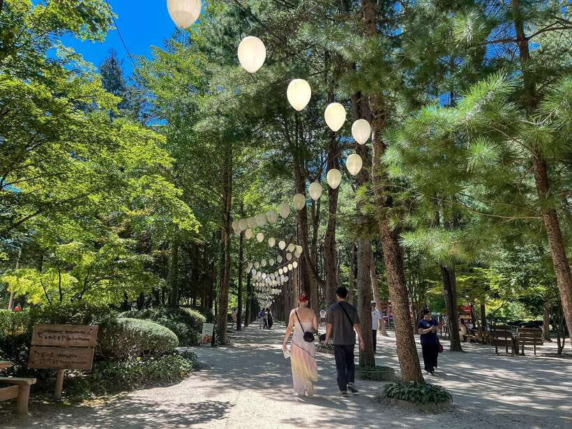 Seoul: Nami Island & Petite France Tour with Railbike Option - Petite France in 45 minutes