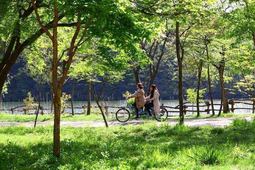 Seoul: Nami Island & Petite France Tour with Railbike Option - The ride out from central Seoul