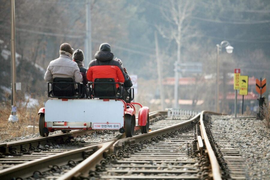 Seoul: Nami, Petite France, Italian Village, Railbike Option - Nami Island by ferry and foot