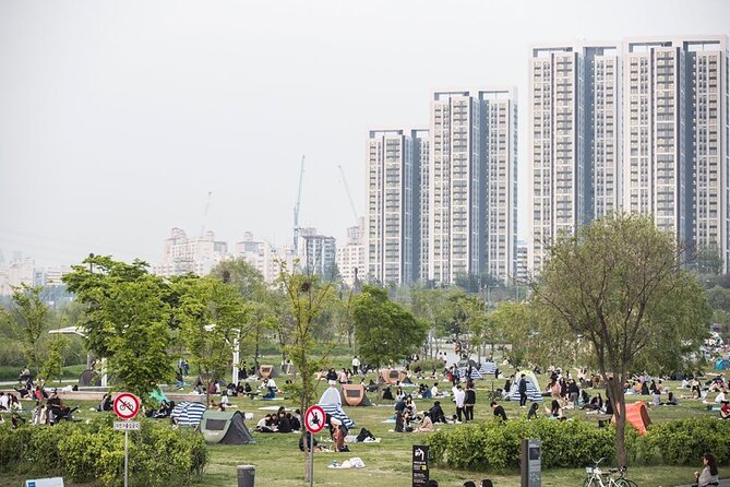 Seoul Night Tour with Han River Cruise and Gyeongbokgung Palace - The guide can make or break the day