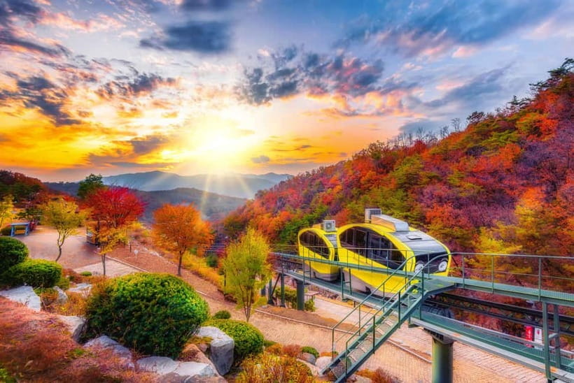 Seoul: Pocheon Art Valley, Garden and Fruit Picking Day Tour - Key points to know before booking