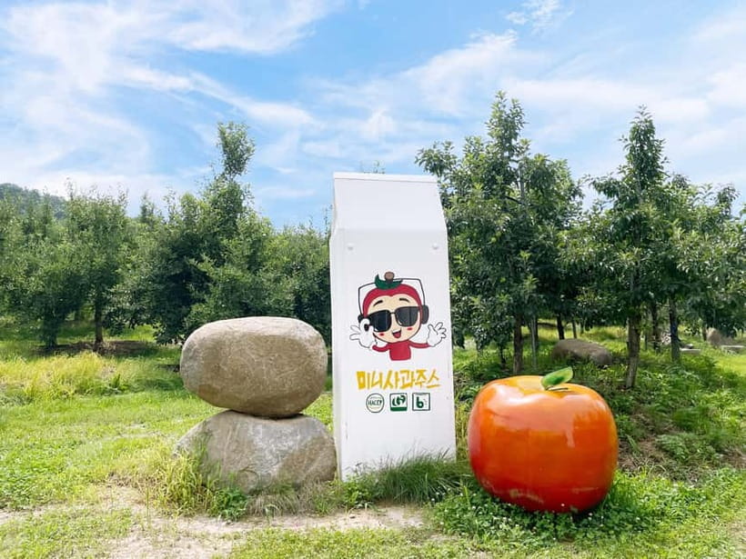 Seoul: Pocheon Art Valley, Garden and Fruit Picking Day Tour - What the $77 price really covers