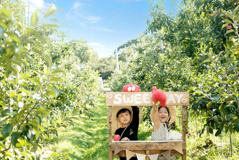 Seoul: Pocheon Art Valley, Garden and Fruit Picking Day Tour - Who should book this Pocheon day tour?
