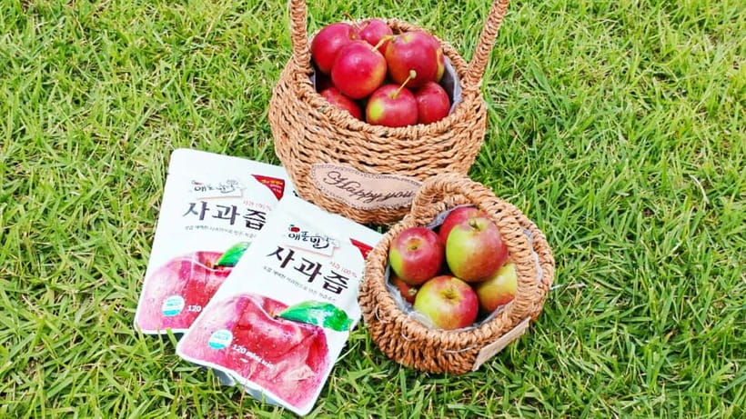 Seoul: Pocheon Art Valley, Garden and Fruit Picking Day Tour - The Garden of Morning Calm, Korea’s first private garden