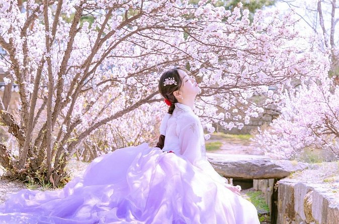 Seoul Premium Hanbok Rental at Arihanbok Photoshoot Included - Who Will Enjoy This Experience Most