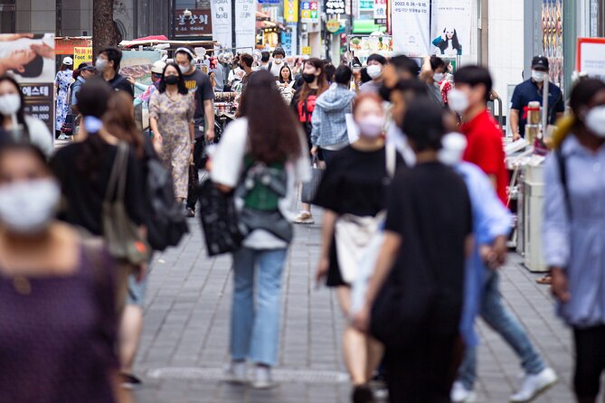 Seoul Private Car & Driver – 9h Custom Day with Pickup - Deciding if the DMZ belongs in your day