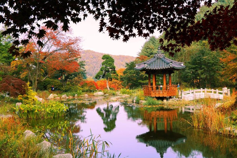 Seoul: Private Customizable Tour to Nami Island and More - Is $470 good value for up to five people?