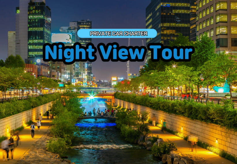 Seoul: Private Night View Tour - Gyeongbokgung, Gwanghwamun, and Cheonggyecheon