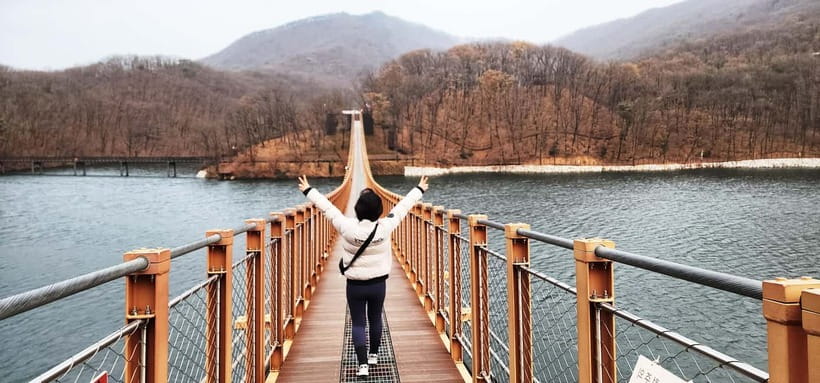 Seoul: Private Taxi Tour Car Charter - Nami Alpaca Seorak - Seoul sights for a focused private day