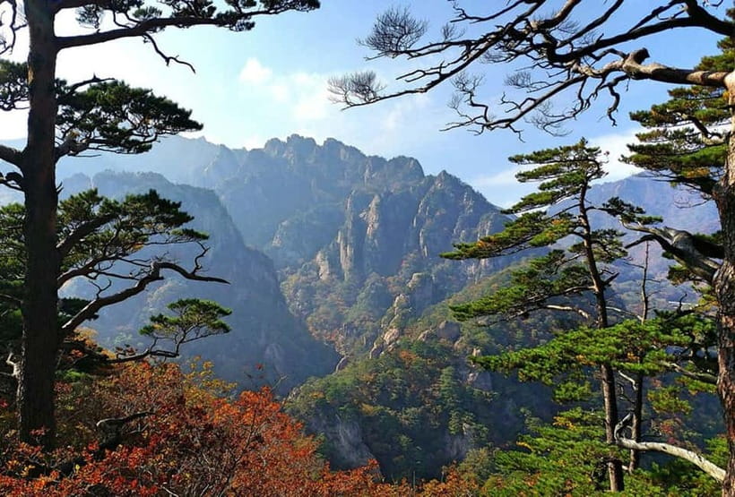 Seoul: Private Taxi Tour Car Charter - Nami Alpaca Seorak - Nami Island and nearby Gyeonggi-do choices