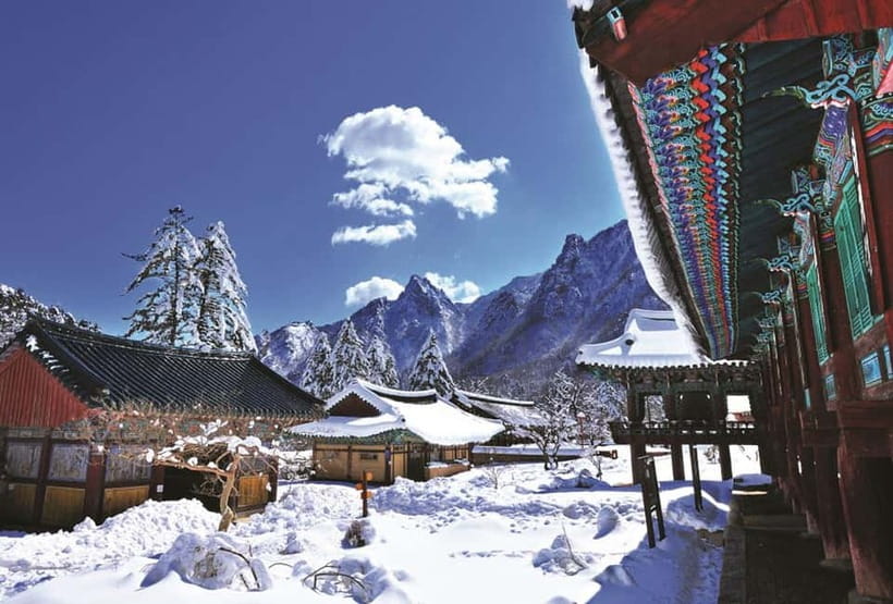 Seoul: Private Taxi Tour Car Charter - Nami Alpaca Seorak - Alpaca World and Chuncheon routes