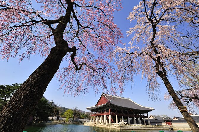 Seoul Private Tour Gyeongbok Palace Bukchon and Gwangjang Market - Bukchon Hanok Village in a short photo stop