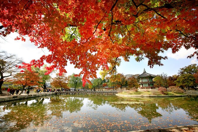 Seoul Private Tour Gyeongbok Palace Bukchon and Gwangjang Market - The Cheongha Korea Ginseng Museum stop
