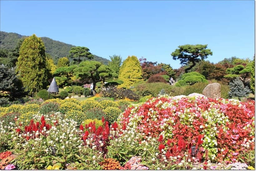 Seoul: Private Tour to Nami Island, Garden, Petite France - Key points to know before booking