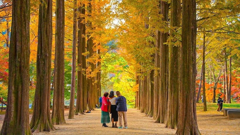 Seoul: Private Tour to Nami Island, Garden, Petite France - Nami Island starts with a pleasant ferry crossing