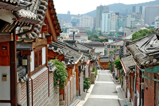 Seoul Private Tour with hidden gem of Seoul - Myeongdong for shopping and street food