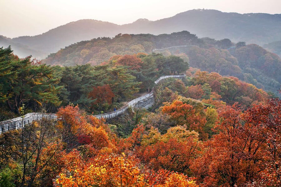 Seoul: Royal Tomb of King Sejong & Icheon Ceramic (EG Tour) - The long ride back to Seoul