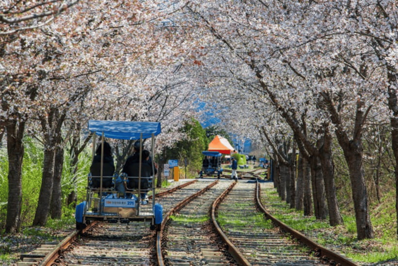 Seoul: Samaksan Cable Car & Nami with Alpaca World/Railbike - Lunch is the weak link