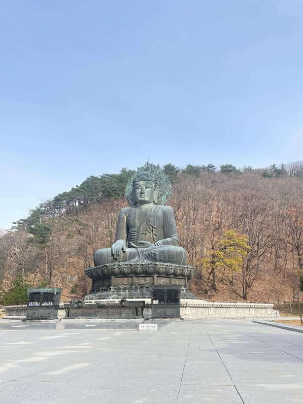 Seoul: Seorak Mountain, East DMZ, and Sokcho Tour - Key points to know before you book