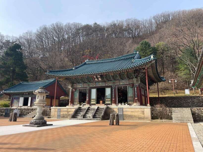 Seoul: Seorak Mountain, East DMZ, and Sokcho Tour - Goseong Unification Observatory and the East DMZ