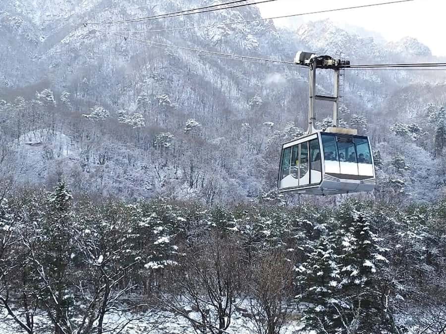 Seoul: Seorak Mountain+Nami Island+Eobi Ice Valley Tour - Key Points Before You Book