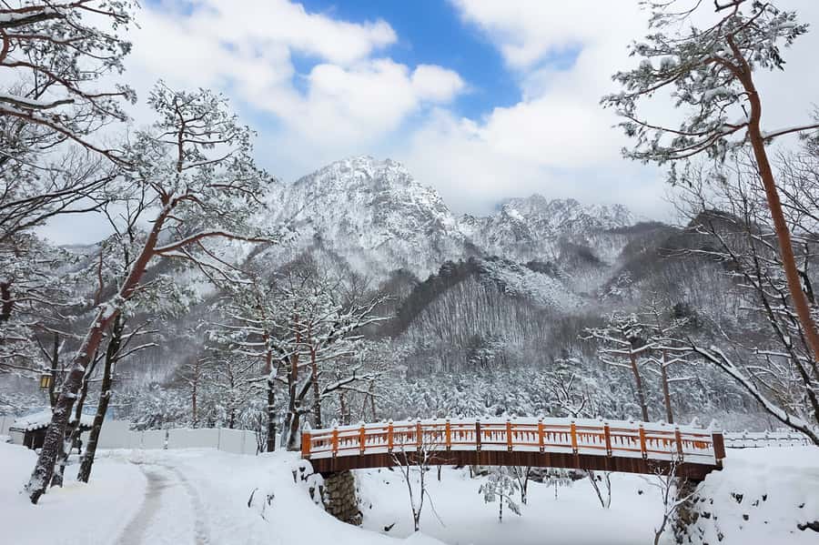 Seoul: Seorak Mountain+Nami Island+Eobi Ice Valley Tour - Why This One-Day Route Makes Sense