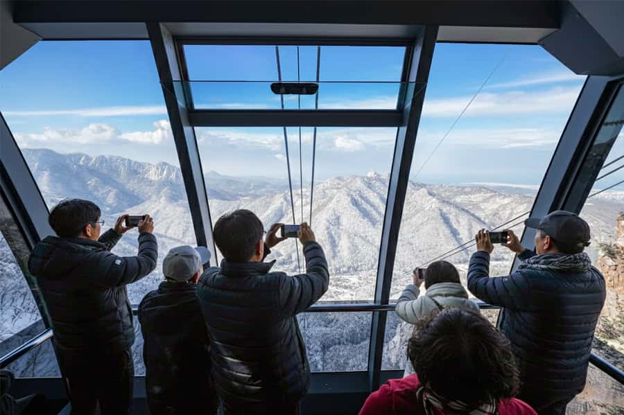 Seoul: Seorak Mountain+Nami Island+Eobi Ice Valley Tour - Nami Island: Tree Walks and K-Drama Appeal