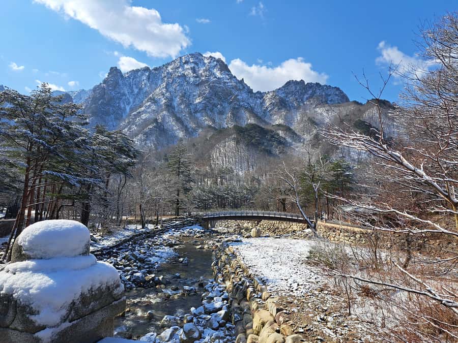 Seoul: Seorak Mountain+Nami Island+Eobi Ice Valley Tour - How the Transport Changes the Value