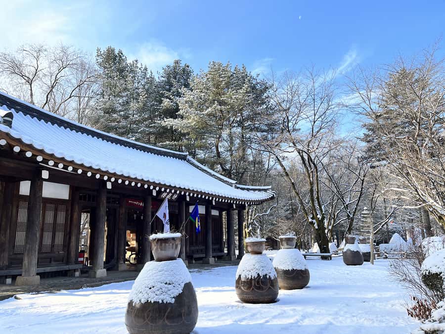 Seoul: Seorak Mountain+Nami Island+Eobi Ice Valley Tour - What the $79 Price Covers